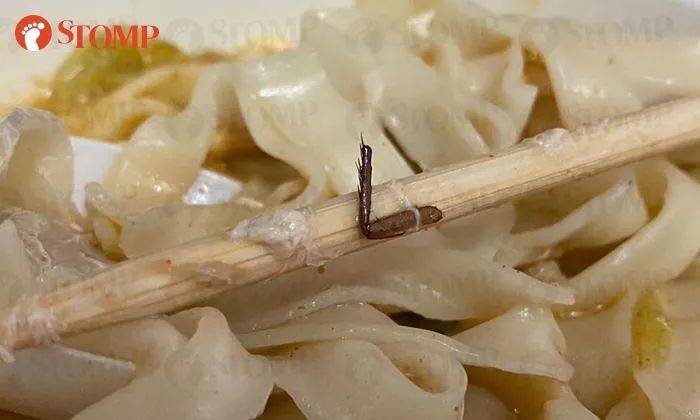 呕！新加坡小贩中心汤面里吃出整只蟑螂，外卖也中招