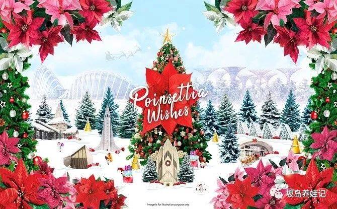 周末去哪儿｜坡岛遛娃活动大合辑11.15-11.17