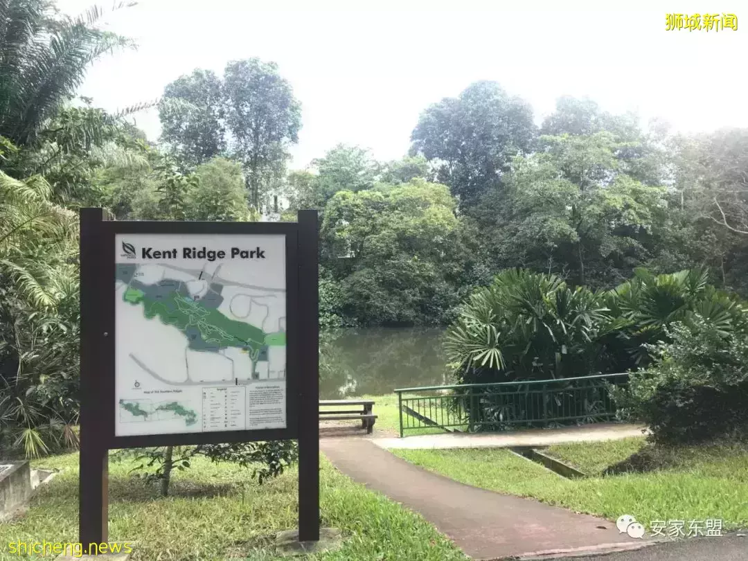 鑫悅府Normanton Park一年賣了88%，還剩224間，3月5日又將起價，手慢無