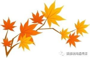 『千年名贵养生活竹酒』登陆狮城 周六发布 免费品酒