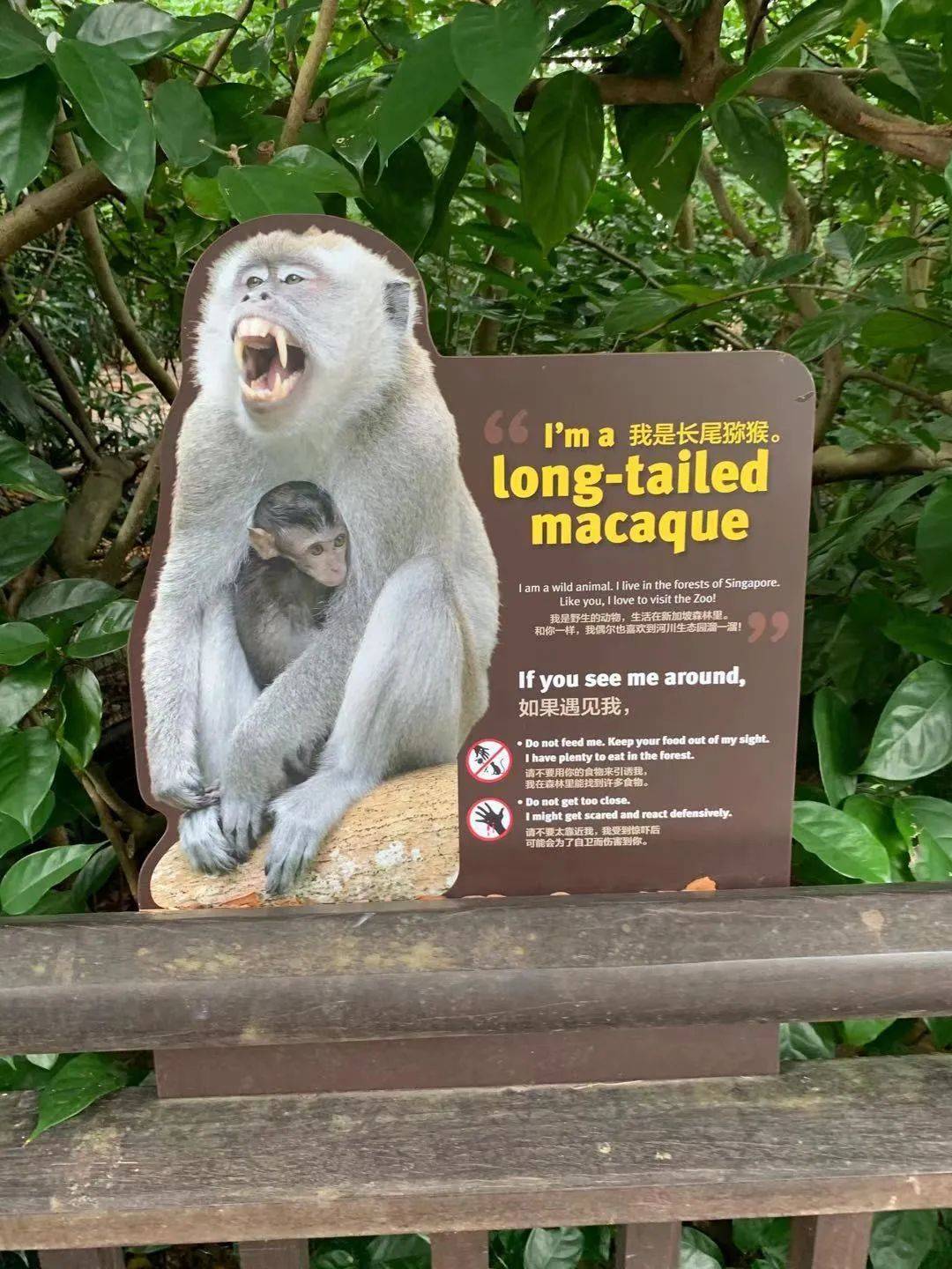 行走狮城——新加坡动物园