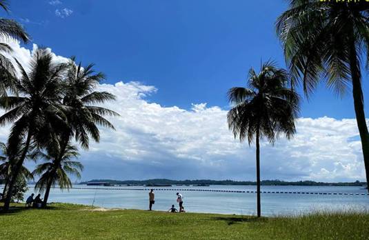 【新加坡留学】不是你不够努力 而是你选择了不同的教育路径