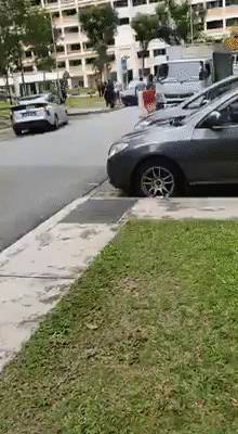 多災多難的2020年，新加坡到底經曆了什麽