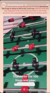 新加坡19岁网红涉嫌虐死青蛙、擅闯犀牛展区,直接被“下狱”