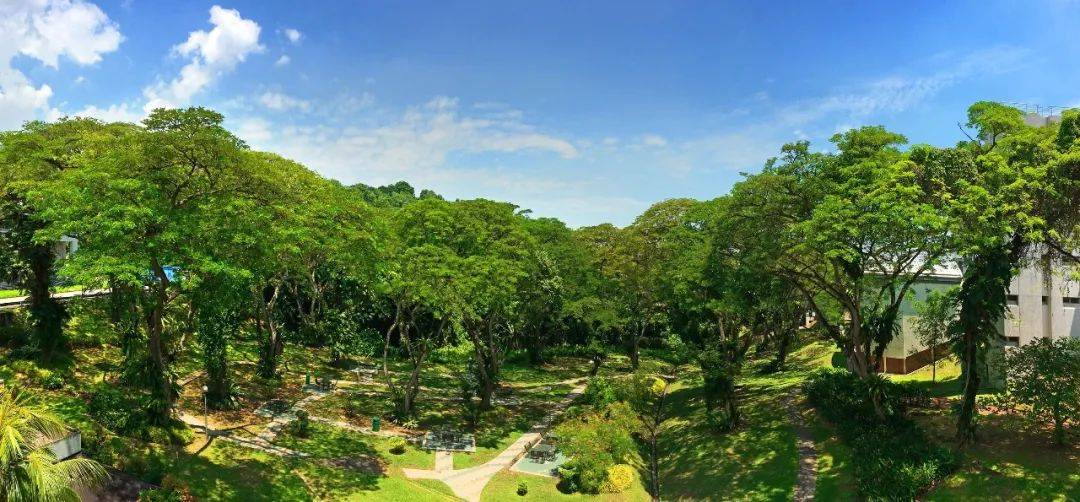 人間四月,來感受新加坡國立大學的春天