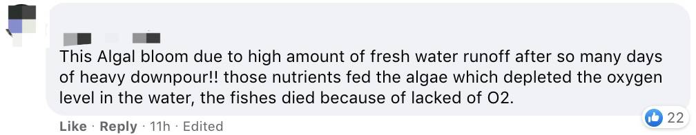 罕見!新加坡聖淘沙這條河變成了粉色,驚現大批死魚!39年創記錄暴雨太作了