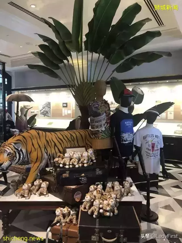 去过好多次新加坡，可我最爱打卡的地方还是这 3 个小众时髦地