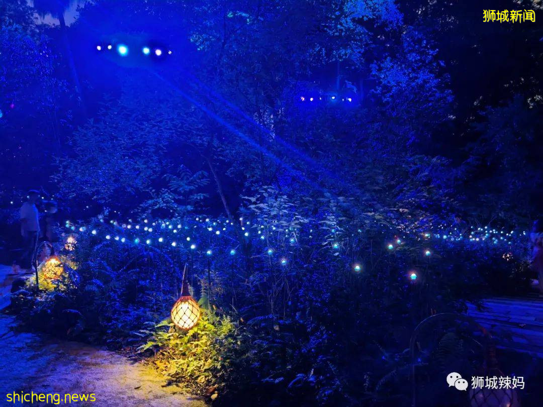 低至S$8！就3天！新加坡動物園“幻光雨林之夜”強勢回歸，亞洲第一夜遊體驗