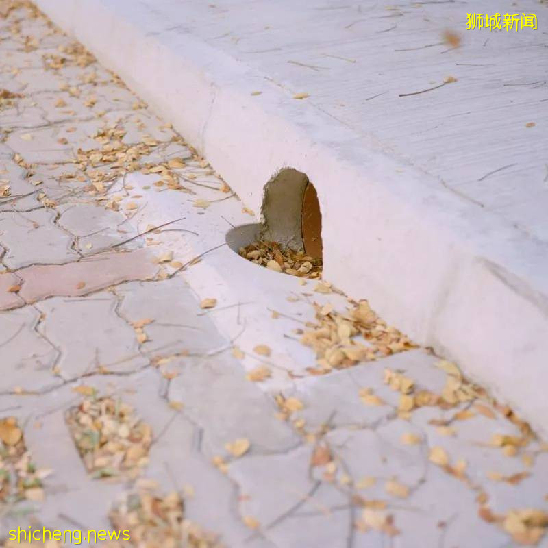 美如畫卷的新加坡，等你來!