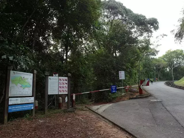 新加坡人深夜排队，翻新一年多的网红景点又开了