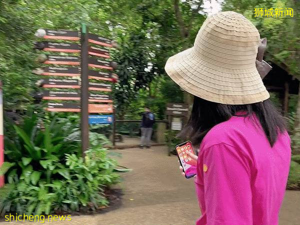 门票6折！一只恐龙有多大？亚洲首个积木恐龙世界，超过60只在新加坡动物园和河川生态园与你捉迷藏