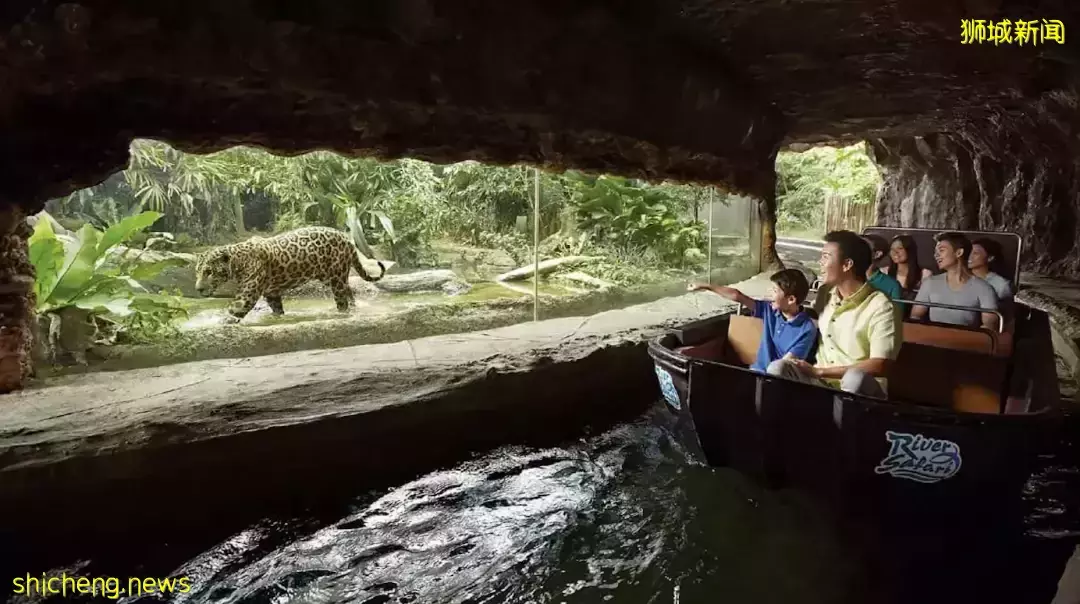 假期攻略 假期想好去哪兒了嗎？新加坡四大動物園全攻略安排上