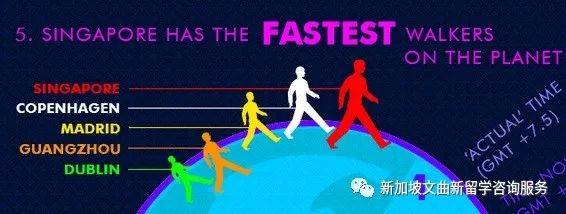 解鎖新加坡冷知識,99%的人都不知道