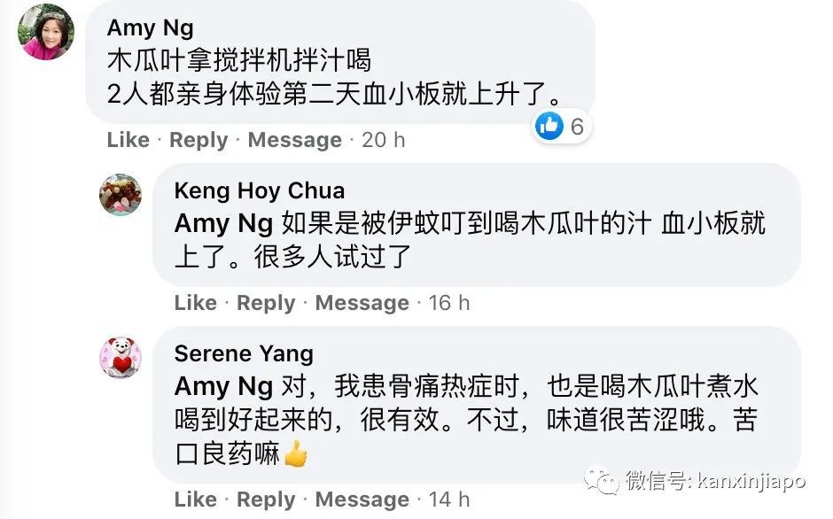 新加坡交通部长许文远第三次患骨痛热症，入院隔离治疗