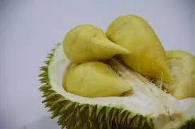 新加坡美食攻略之 -----榴梿篇