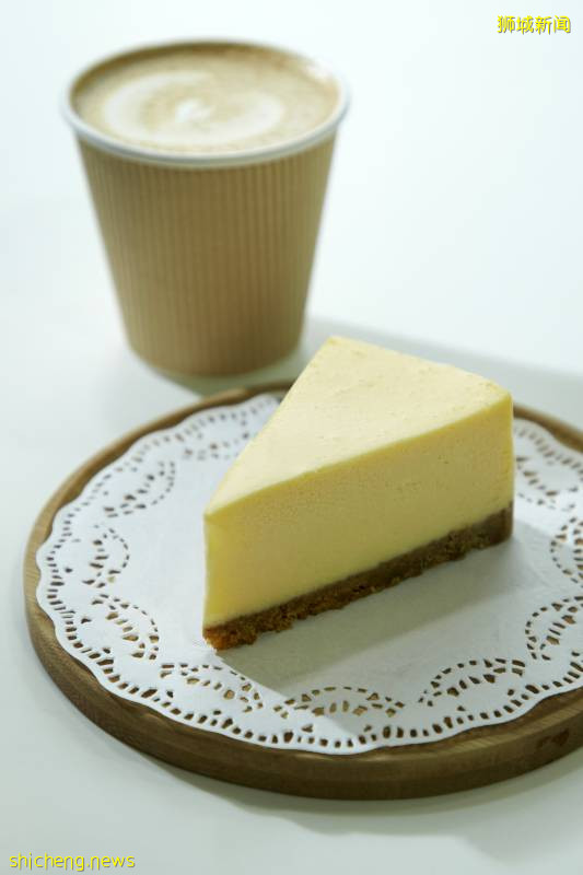 新加坡一家猫旅舍转型成为暖心猫咖!22只可爱小猫等你来RUA