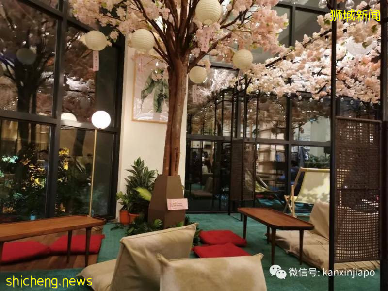 疫情爆發後,新加坡有529餐飲公司關閉!