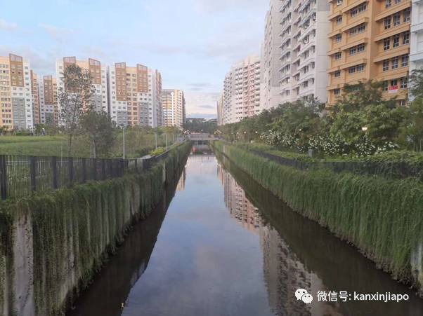 这五个关于新加坡的谜语,让大家来猜一猜