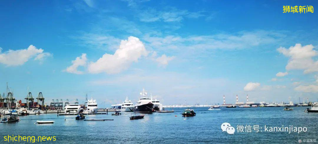 新加坡小众遛娃好去处,吃喝玩乐一应俱有