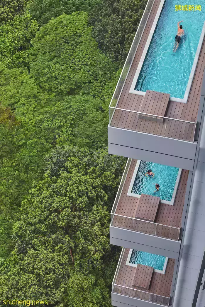 爲什麽神秘的中國買家那麽喜歡買烏節路的房子