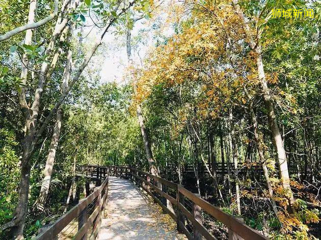 周末了,是時候環遊世界了,新加坡小桂林了解一下