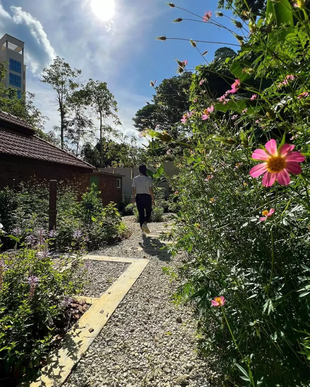 徒步好去处💪🏻新加坡最古老的“武吉知马火车站”整修后重新对外开放！办公楼变身成为复古咖啡厅☕️ 