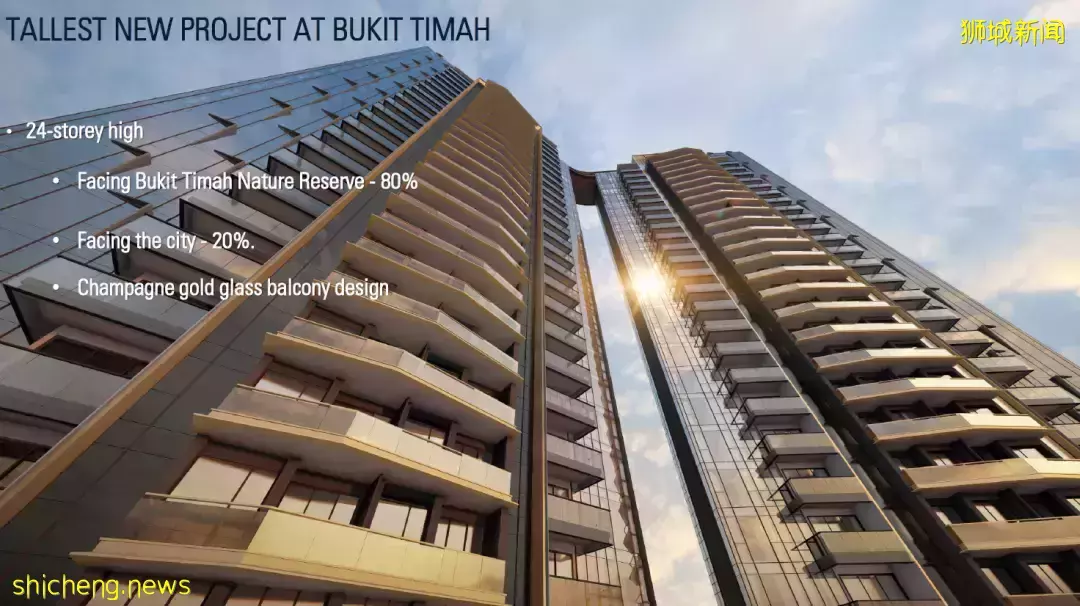 新加坡Perfect Ten 永久地契豪華公寓！核心中央區D10荷蘭區武吉知馬