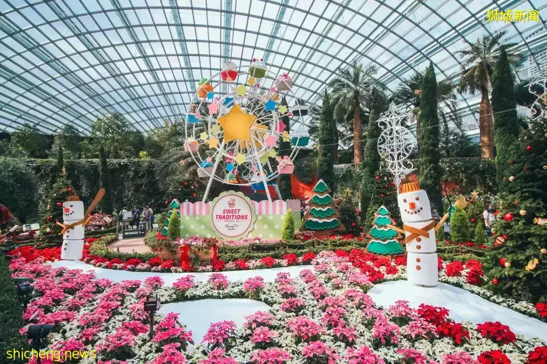 新加坡滨海湾花园一年一度圣诞仙境闪亮登场！花穹岁末花展带你走进童话世界