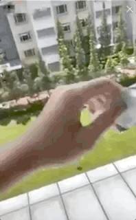 新加坡這所頂級名校，發生了激烈的衛生間大戰