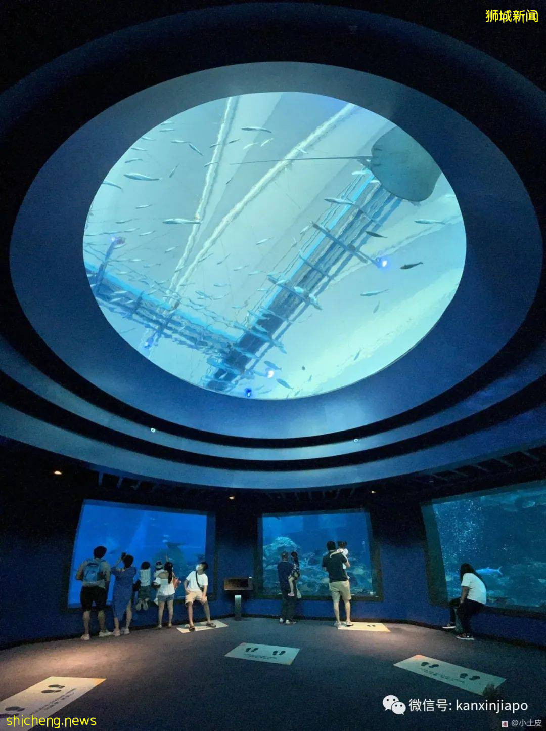 亞洲最大的海洋館,原來在新加坡