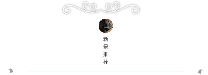 QQ图片20170302084555