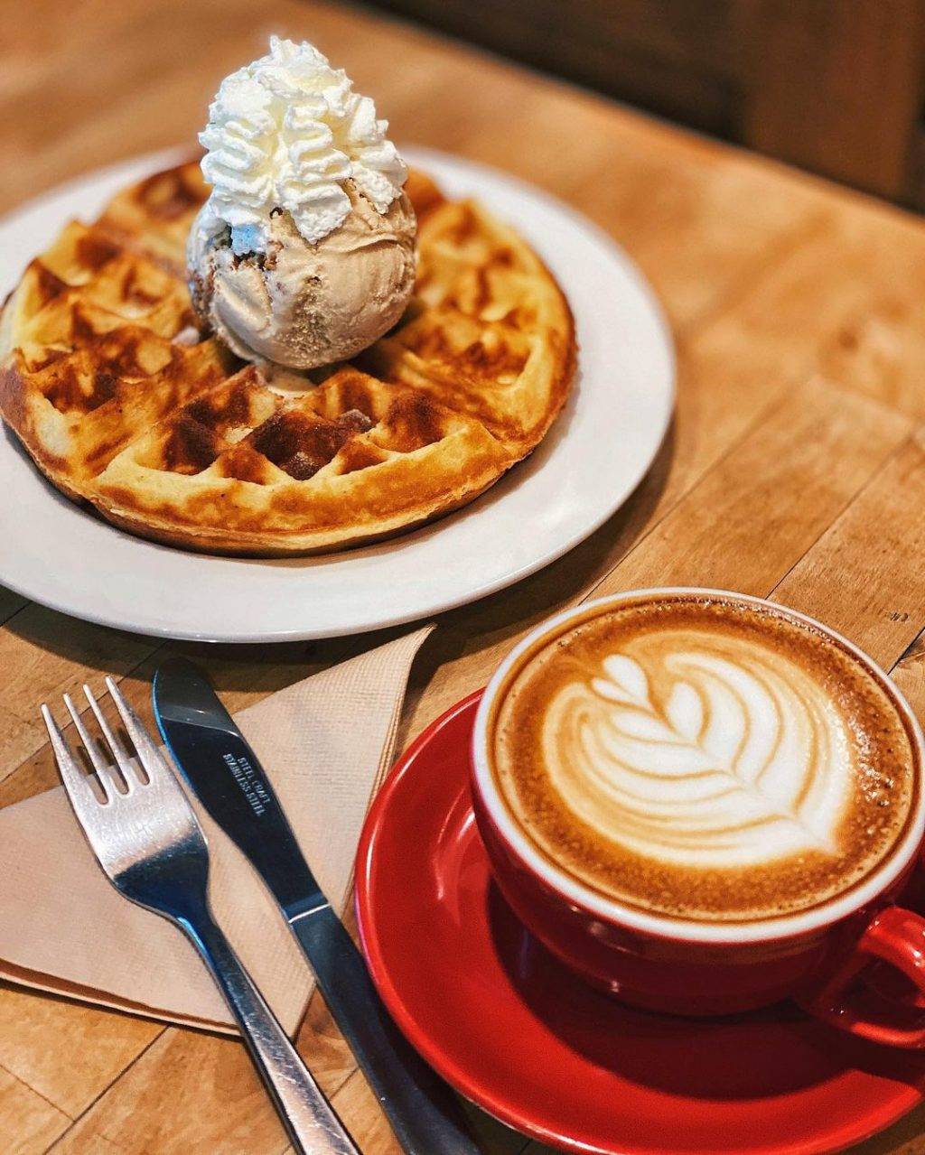 森林花園咖啡館Knots Cafe & Living🌿被綠植盆栽圍繞、置身世外桃源,感受片刻恬靜✨