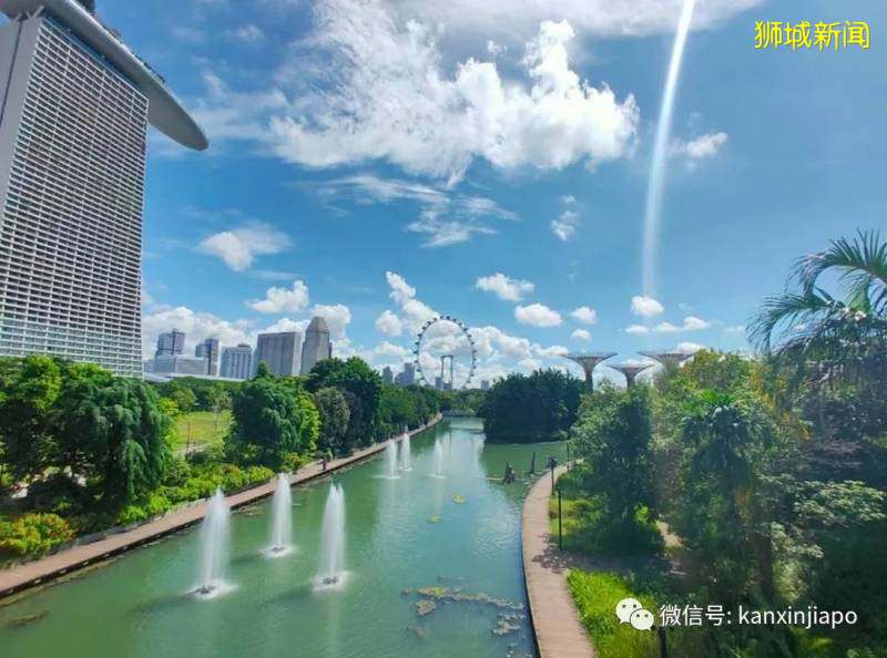 “解封后，最想去的地方是新加坡”