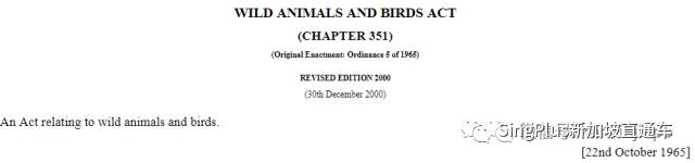 新加坡的野生动物也太不好惹了吧