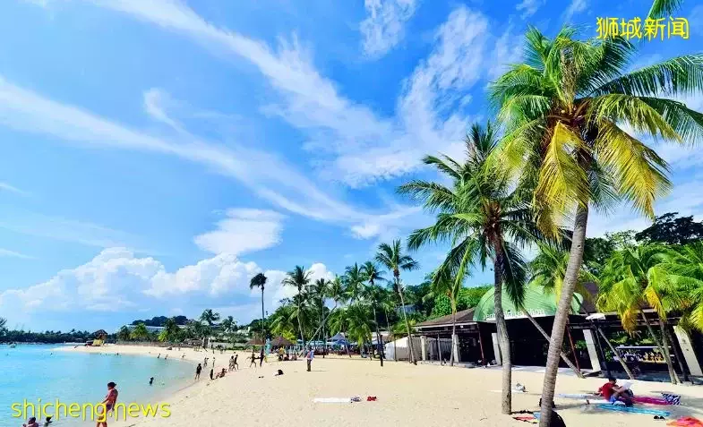 我勸你,千萬別來新加坡