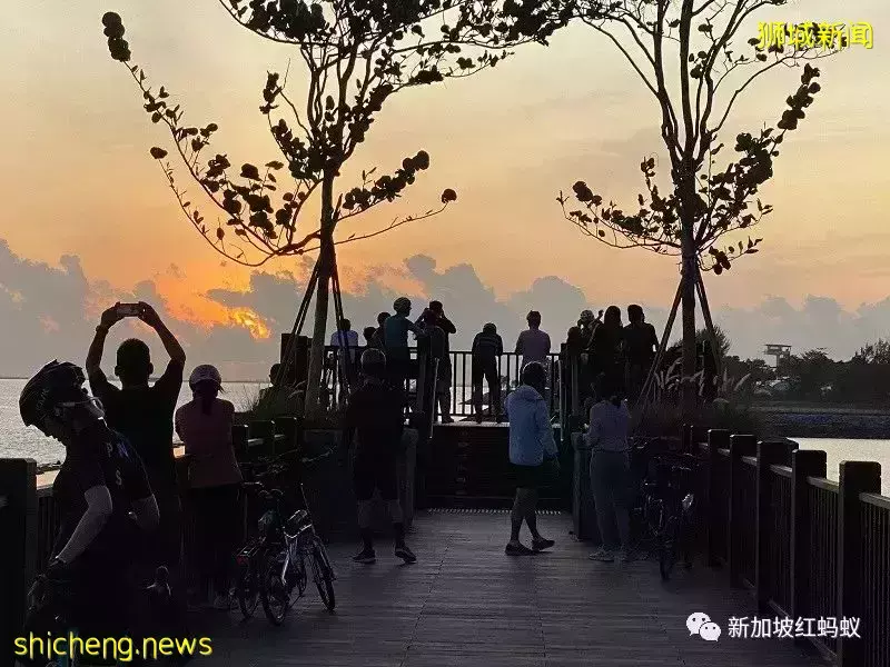 【圖文】這段18公裏沿海路線美爆了! 左看右看都不像在新加坡