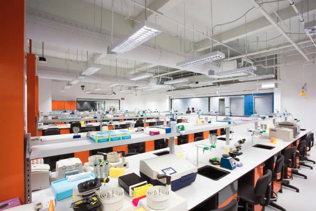 新加坡PSB學院（證書類及本科課程介紹）