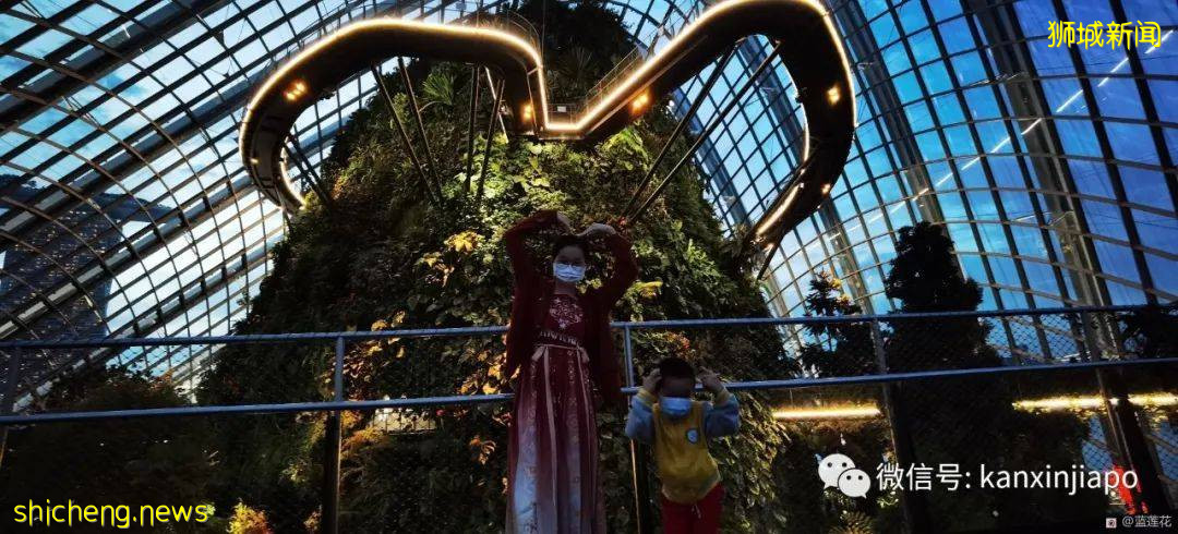 新加坡親子好去處！濱海灣～花穹～雲霧森林～空中步道半日遊