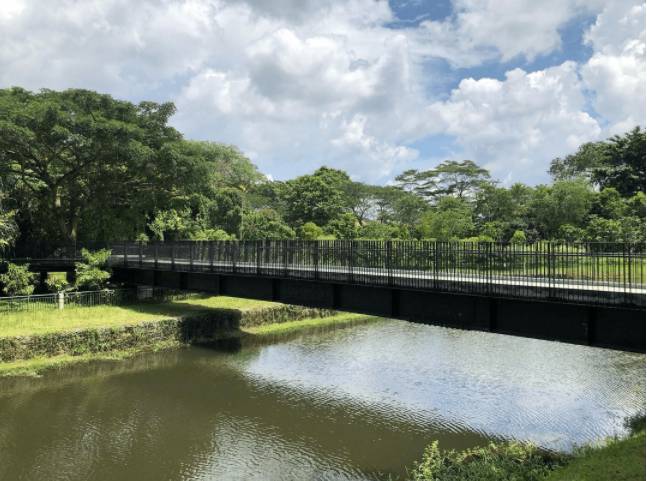 爆赞!新加坡10条最美巴士线路,花最少的钱玩遍全岛