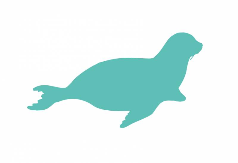 突發！這個海灘驚現一群巨型椰子蟹，還搶燒烤吃！新加坡也被鳄魚、蜥蜴、蟒蛇、水獺、猴子、野豬、野雞嚇到過