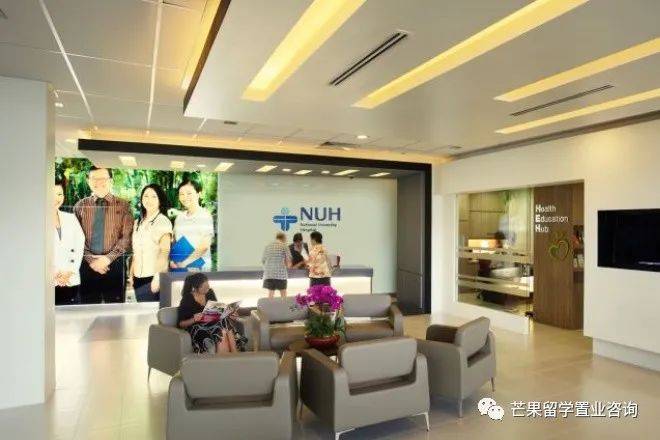 新加坡醫療之政府醫院