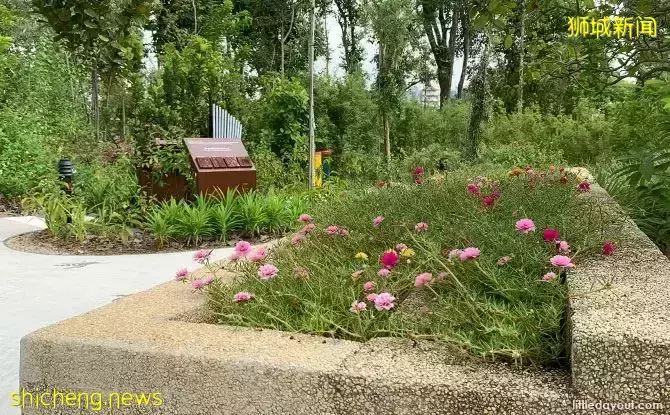 免費！新加坡最適合娃的公園，蝴蝶迷宮、沙灘小灣、瀑布、滑梯秋千