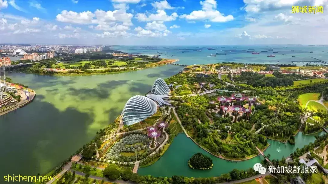 新加坡房价屡创新高！房产标杆价一升再升