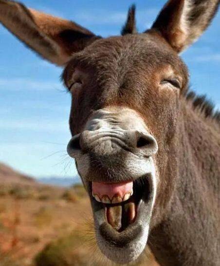 听说很多人去了樟宜机场免税区逛街？我们翘班去体验了一把