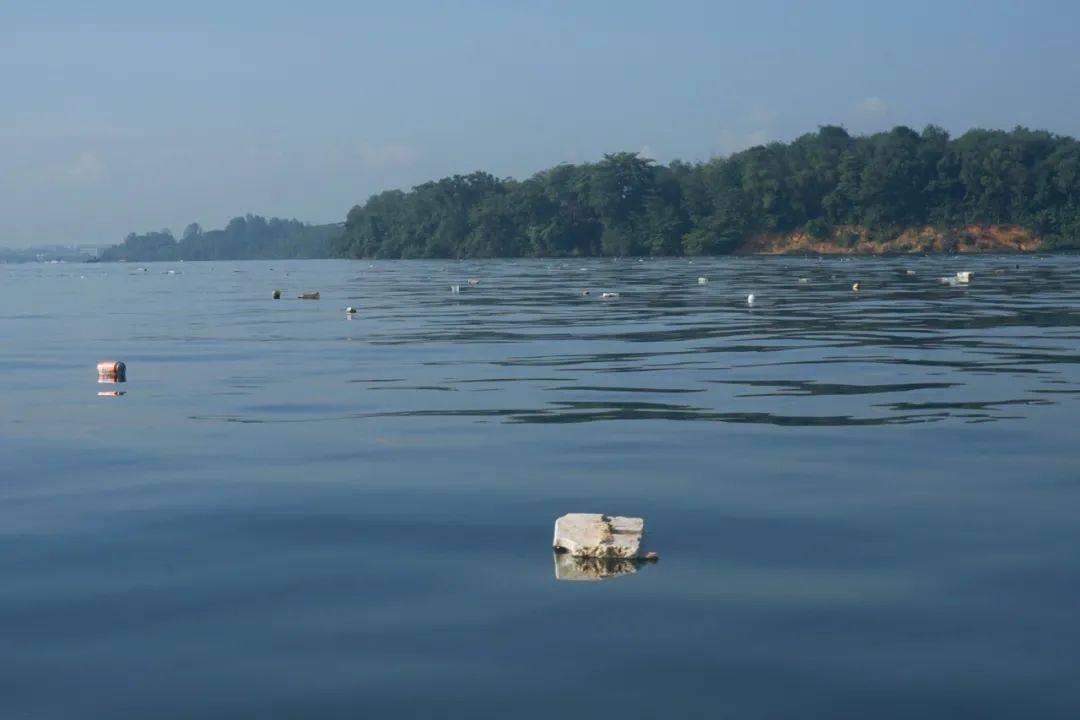 新加坡一天全島沒有清潔工，竟變成了這幅鬼樣子