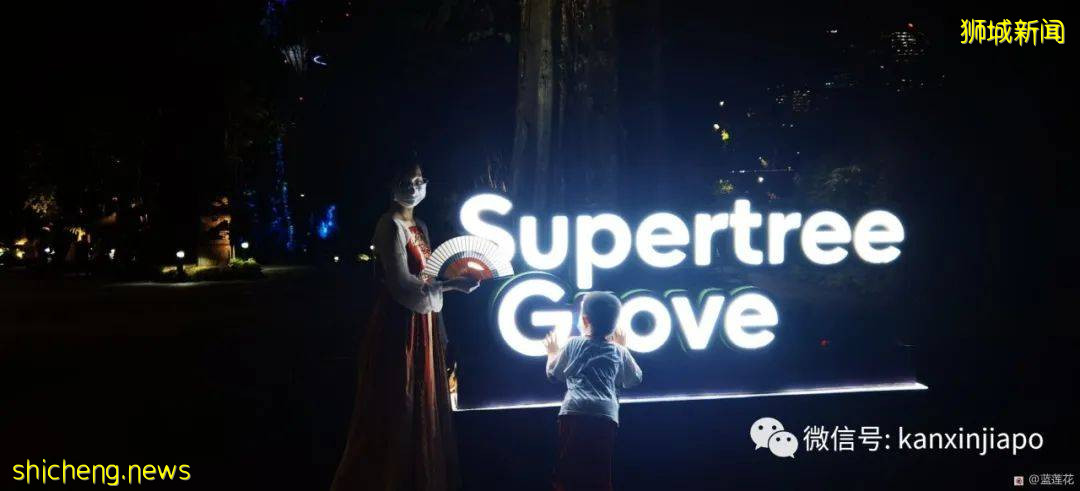 新加坡親子好去處！濱海灣～花穹～雲霧森林～空中步道半日遊