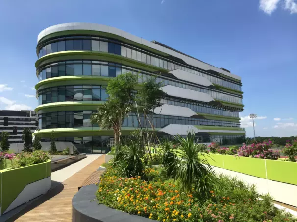 新加坡大學全分析，快進來看看