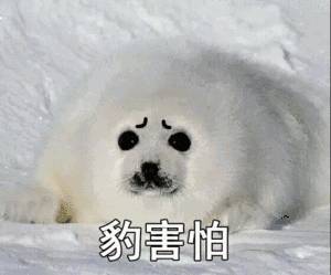 “因为孩子报名小学的事，我竟然收到了新加坡教育部的警告信！”