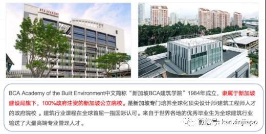 如何成功進入新加坡政府中小學 後續升學路徑解析!新加坡學曆提升必讀