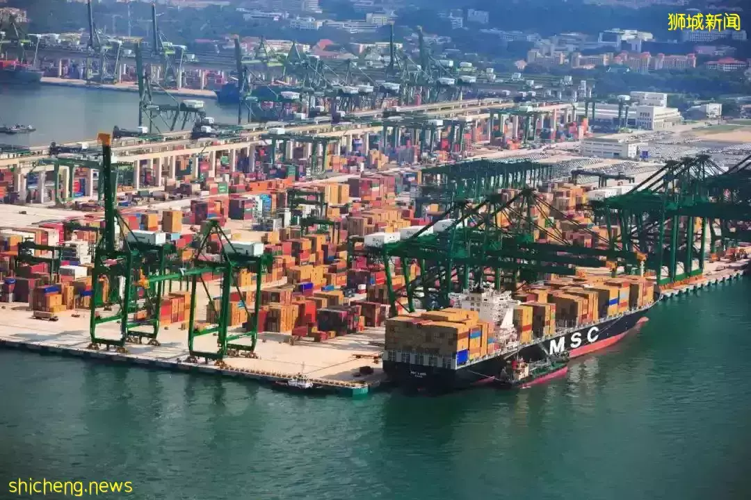 新加坡部分进口蔬菜价格飙涨,马来西亚番茄价格狂涨50%